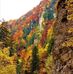Daniel Hirscher - Facebook