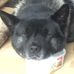 Daniel Hitchings-Goswell - Facebook
