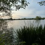 Daniel Hoare - @dhoare_1 - Instagram