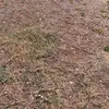 Daniel hobby - @danielhobby64 - TikTok
