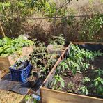 Daniel Hobson - Facebook