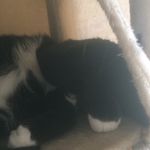 Daniel Hodges - @daniel.hodges.3975012 - Instagram