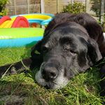 Daniel Hodges - @daniel_hodges_538 - Instagram