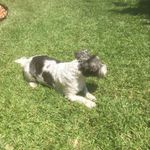 Niel Hodgman - @daniel_hodgman - Instagram