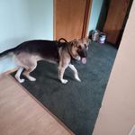 Daniel Høehlē - @danielhoehle - Instagram