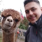 Daniel Hof - Facebook