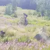 Daniel Hofbauer - @shredditsbiking_on_yt - TikTok