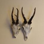 Daniel Hogg - @daniel.hogg.1044 - Instagram