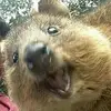 Danielhogg - @daniel_h0gg - TikTok