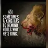 Daniel Hoitsema - @danielhoitsema - TikTok