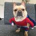 Daniel Holgate - Facebook