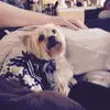 Daniel Hocker  - @daniel_200 - TikTok
