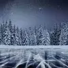 danielholibaugh - @daniel.holibaugh - TikTok