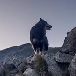 Daniel Höller - @daniel840420 - Instagram