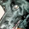 danielhollis462 - @danielhollis462 - TikTok