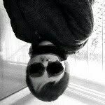 @daniel_hollmann - Instagram