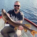 Daniel Holmertz - @danielholmertz - Instagram