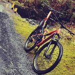 daniel holohan - @holohan.dan16 - Instagram