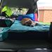 Daniel Holohan - Facebook