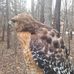 Daniel Holston - Facebook