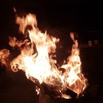 Daniel Holterman - @danielholterman - Instagram