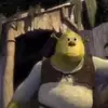 Daniel Holton - @danielholton6 - TikTok