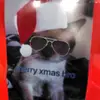 Daniel Holton - @daniel.holton1 - TikTok