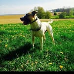 Daniel Holy - @dani920815 - Instagram