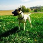 Daniel Holý - @dholy5797 - Instagram