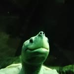 @danielholy253 - Instagram