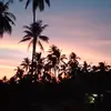 HOLYDaniel - @holy.daniel7 - TikTok