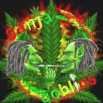 Dan Holycross - Facebook