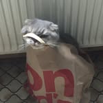 Daniel.Timo.Hombach - @daniel.timo.hombach - Instagram
