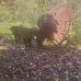 Daniel Boone Home &amp; Village - Facebook