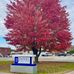 Daniel Funeral Home - Facebook