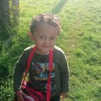 Daniel Hammer - Facebook