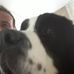 Daniel Horn - Facebook