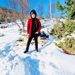 Daniel Hosseini - @daniel_hosseini_ - Instagram