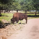 Daniel Houy - @danhouy - Instagram