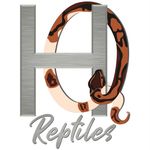 Daniel Howley - @howley_quality_reptiles - Instagram