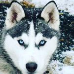 Daniel Howley mcdade - @mcdadedanielhowley - Instagram