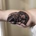 Daniel Hoyle Tattoo - Facebook