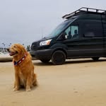 Daniel Hoyle Walden - @vanielwalden - Instagram