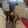 Daniel Hoyt - @daniel.hoyt6 - TikTok