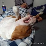 Daniel Hrubý - @daniel.hruby.1048 - Instagram