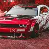 Daniel Hruby - @danielhruby6 - TikTok