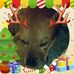Daniel Hrvatin - Facebook