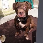 Daniel Hrvatin - @hrvatindaniel - Instagram