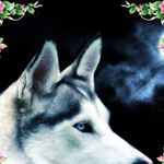 Daniel Huck - @daniel.huck.10 - Instagram