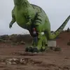 Daniel Huck - @daniel.huck1 - TikTok